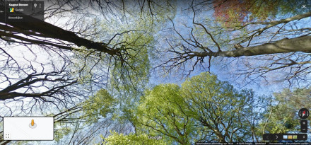 natuurgebieden google maps